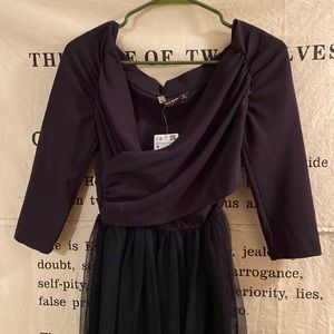 Nwt zara basic tulle dress